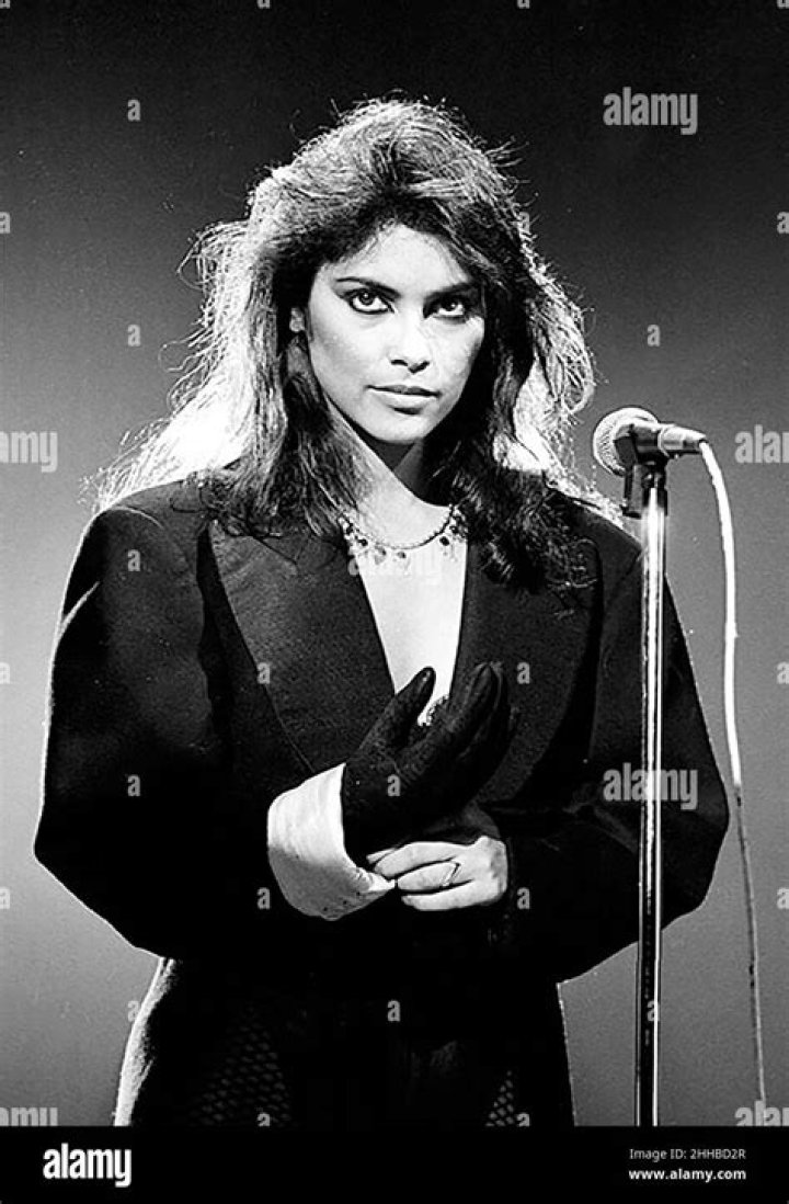 Unpacking the Legacy of Vanity Singer: Denise Matthews' Enduring Mark