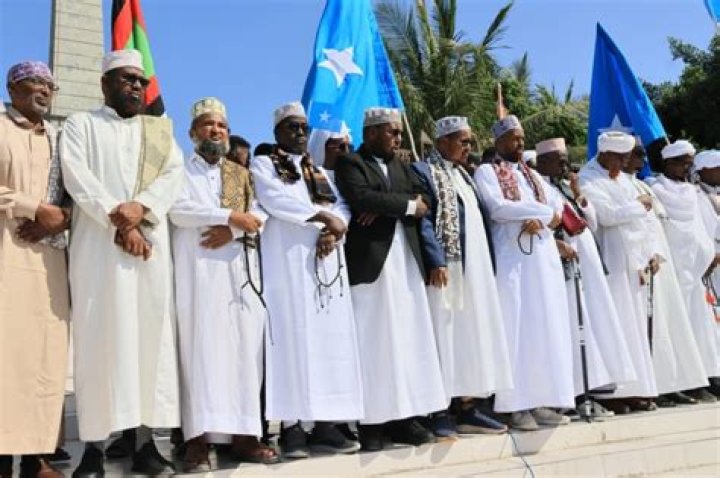 Unpacking the Linguistic Ties: Are Somali and Arabic Related?