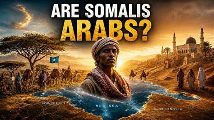 Unpacking the Question: Are Somalis Arabs? Exploring Identity Beyond Simple Labels