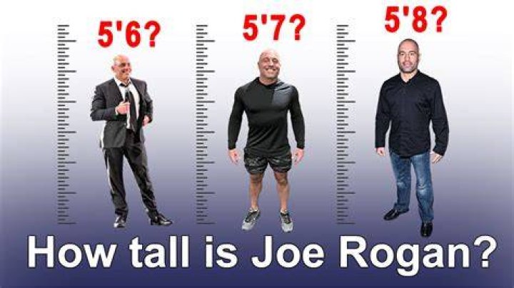 Unpacking the Question: How Tall is Joe Rogan, Really?