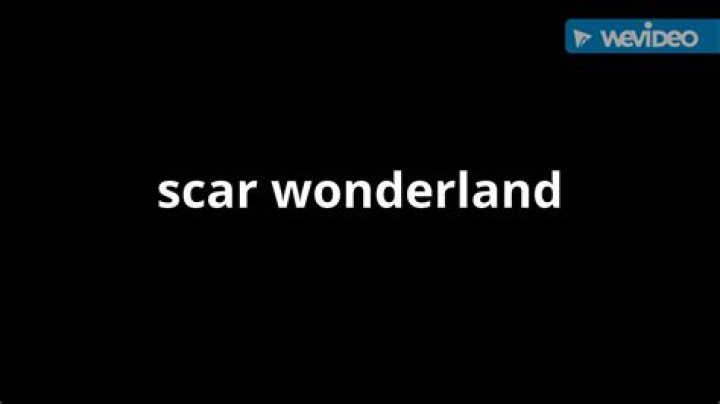 Unpacking the Scars Wonderland Leak: What It Means for Future Scar Care