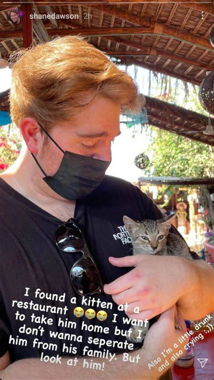Unpacking the Shane Dawson Cat Allegations: A Look at Online Scrutiny
