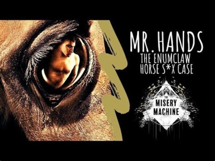 Unpacking the Story of Mr. Hands: The Enumclaw Incident and Its Digital Footprint