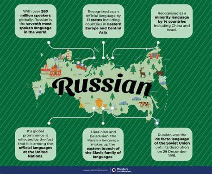 Unraveling "Toto": What Does It Really Mean in Russian Culture and Language?