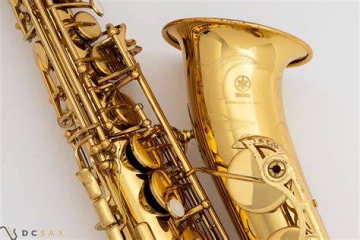 Unraveling 'Sax': More Than Just a Musical Instrument