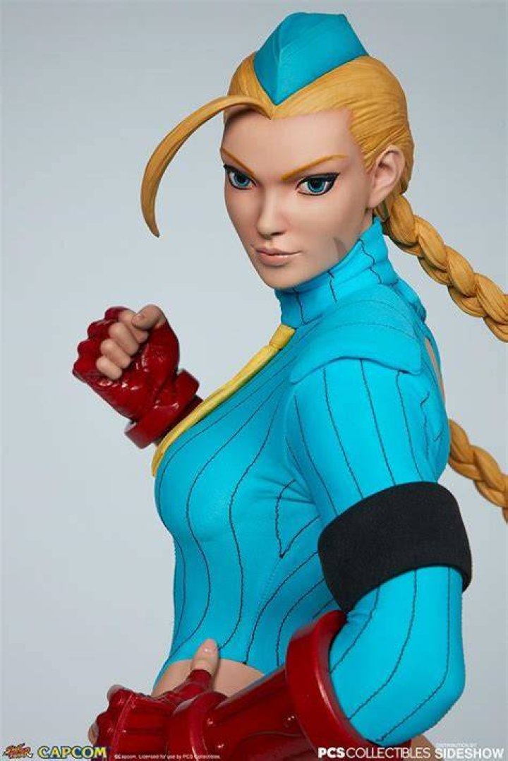 Unraveling Cammy's Heart: Does Street Fighter's Killer Bee Have a Love Interest?