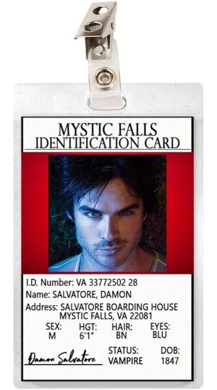 Unraveling Damon Salvatore: The Enduring Charm of Mystic Falls' Most Complex Vampire