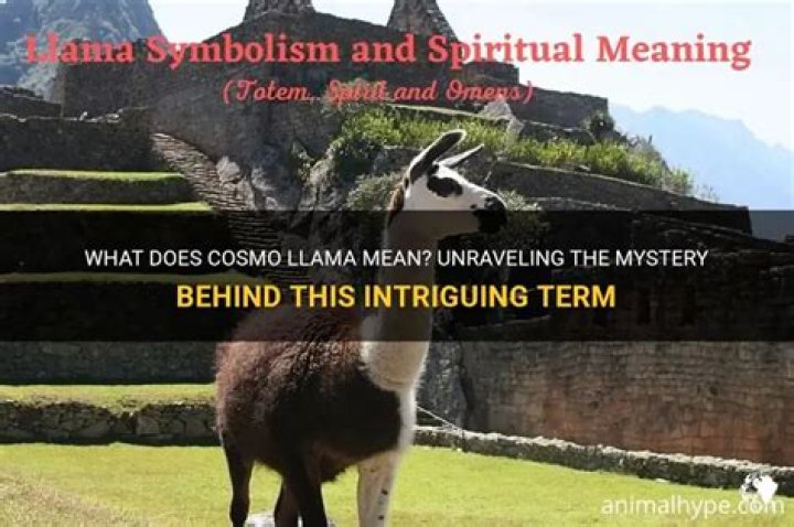 Unraveling masa49. com: What Does This Mysterious Term Really Mean?