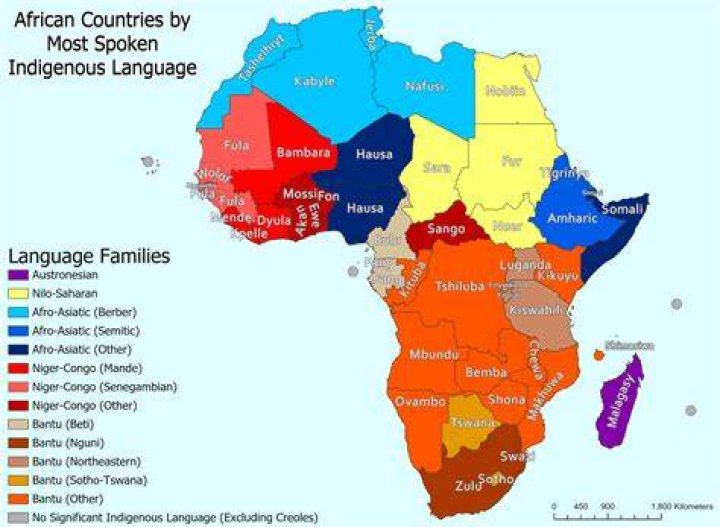 Unraveling Somalia's Linguistic Tapestry: What Languages Are Spoken?