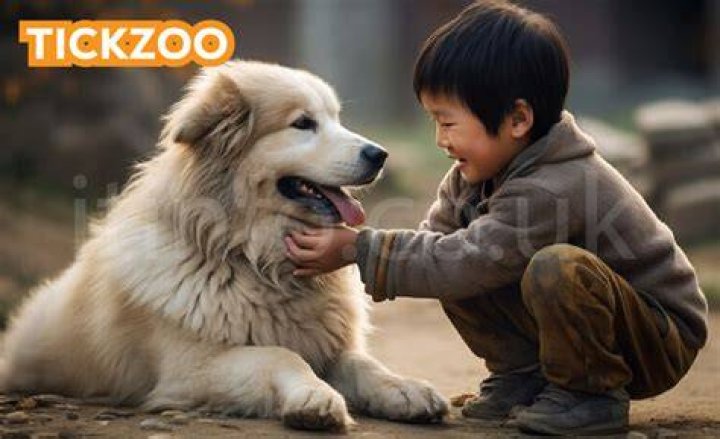 Unraveling the Mysteries of Tickzoo: Why Understanding Ticks Matters