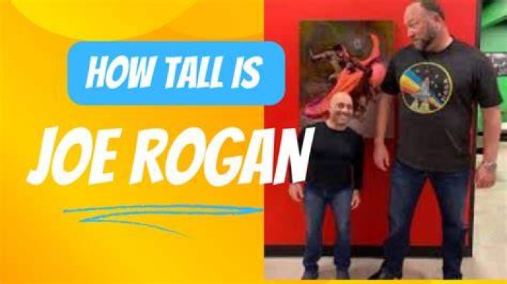 Unraveling the Mystery: Just How Tall is Joe Rogan in Feet?