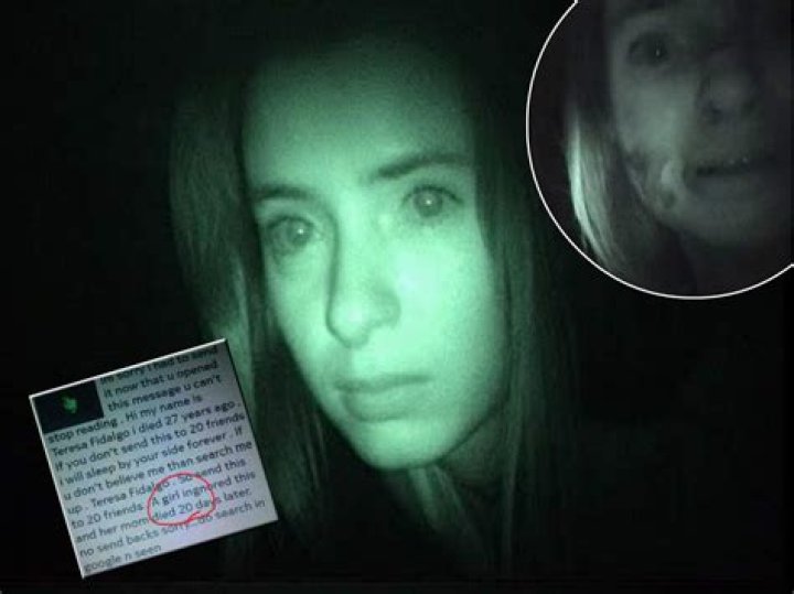 Unraveling the Mystery of Teresa Fidalgo: Is This Viral Message Real?