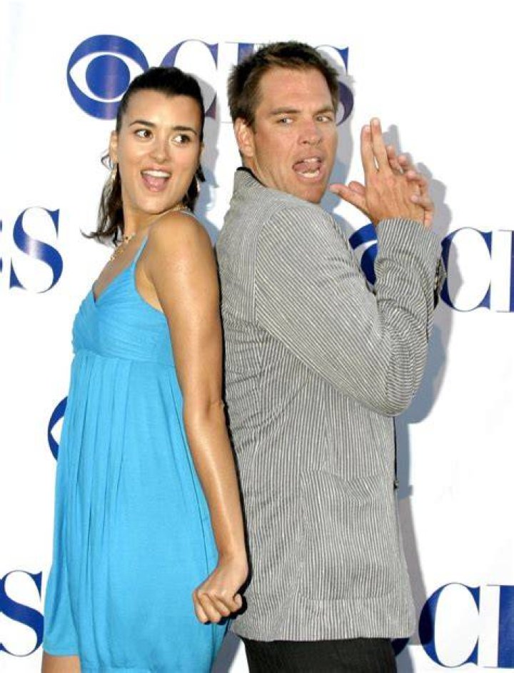 Unraveling the Mystery: Who is Cote de Pablo's Partner?