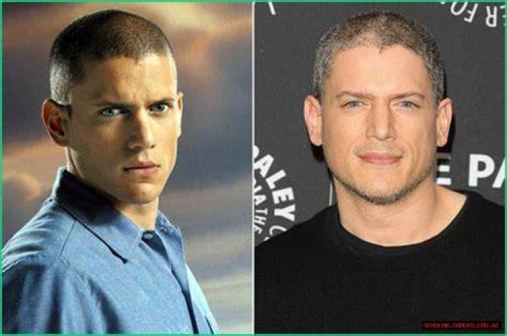 Unraveling Wentworth Miller Relationships: A Look at His Private World