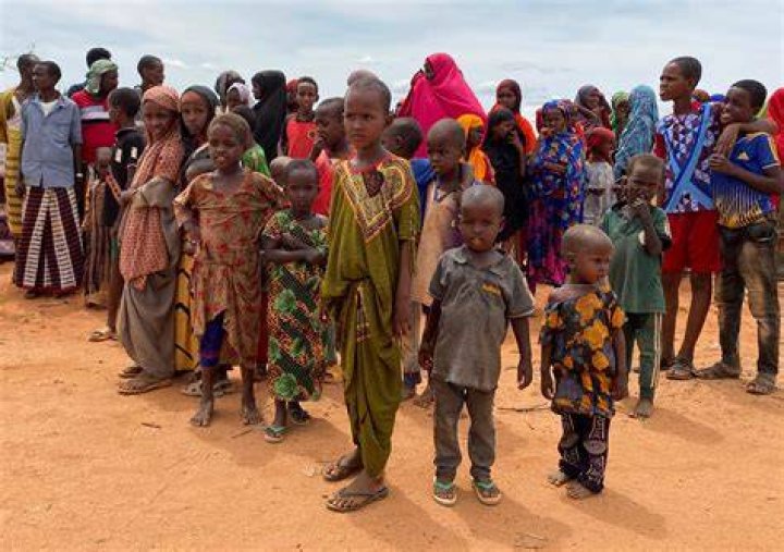 Unveiling the Layers: What Qarxis Somalia Means for Its People