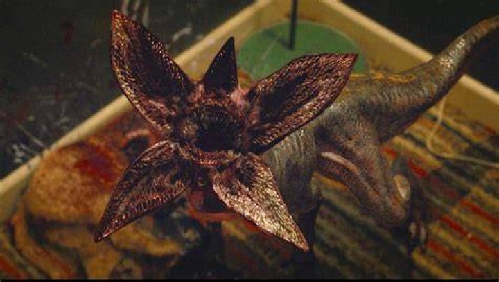 Was Dart a Demogorgon? Unraveling the Dodge Dart's Mysterious Troubles