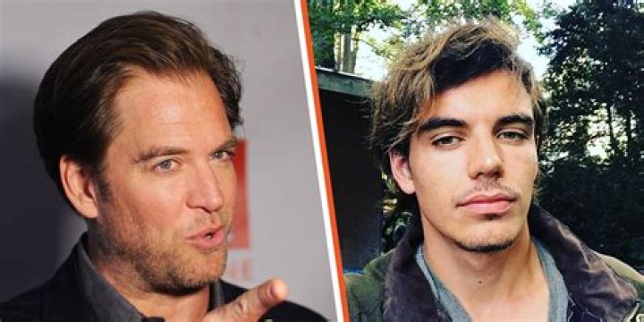 Was Michael Weatherly's Son Ever on NCIS? Exploring the Connection Between Family and Fiction
