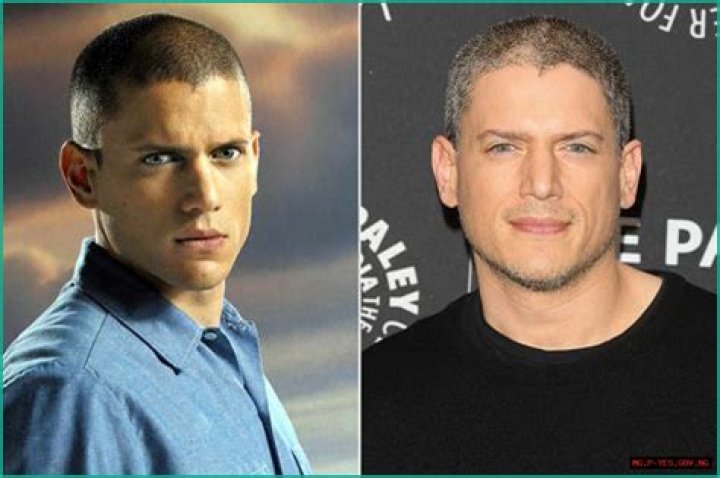 Wentworth Miller: A Look at the Actor Behind Iconic Roles