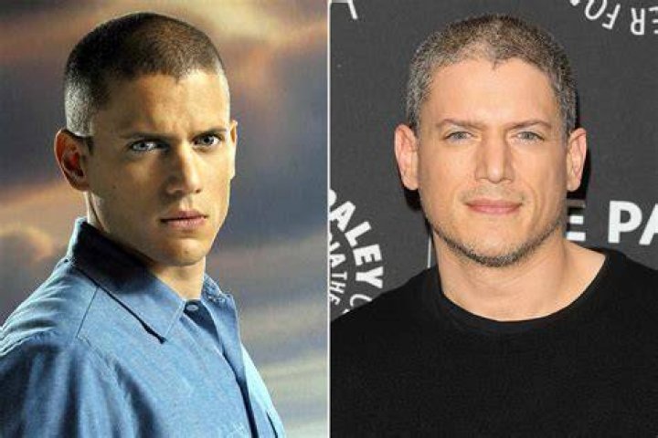 Wentworth Miller Engaged: What Fans Are Saying Today