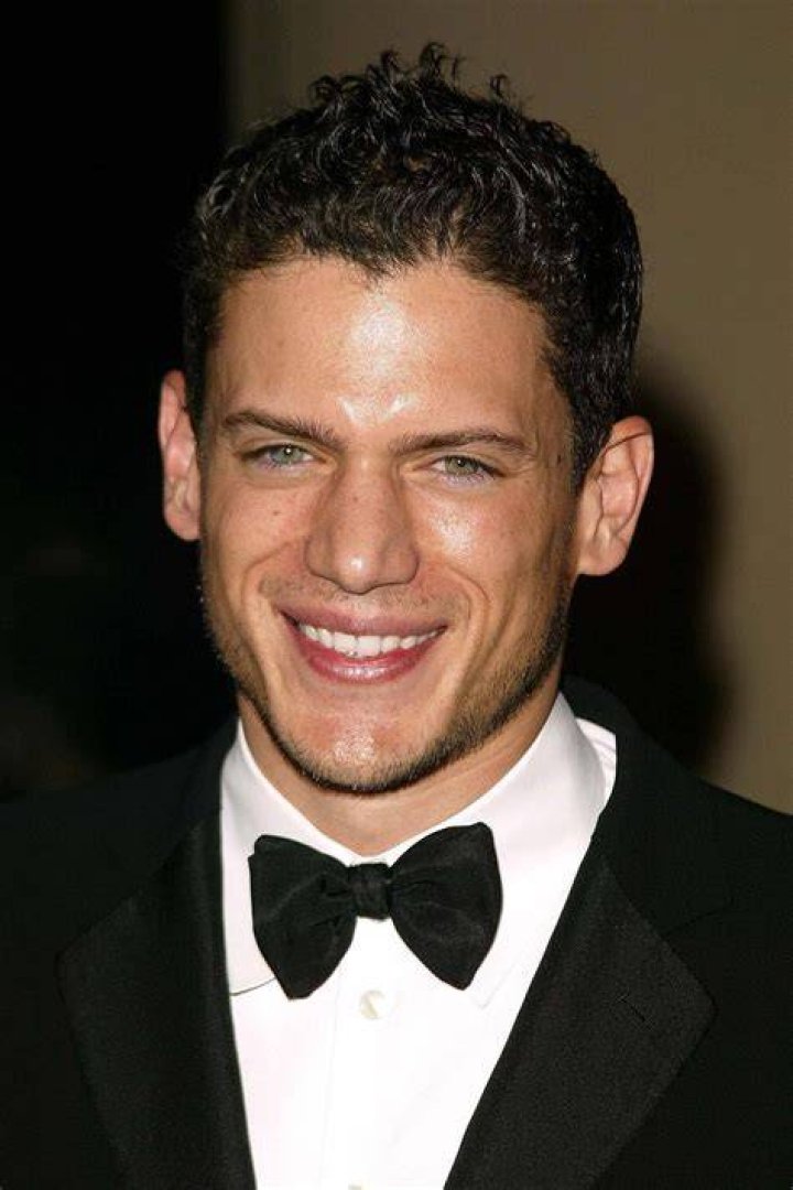 Wentworth Miller Engaged: What We Know About the Star's Big News Today