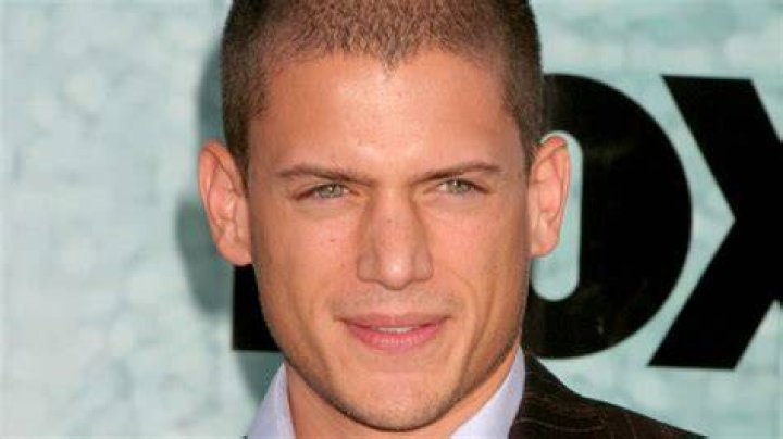 Wentworth Miller: From Prison Break Icon to Versatile Star