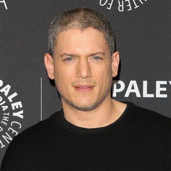 Wentworth Miller Net Worth 2024: A Look at His Financial Standing