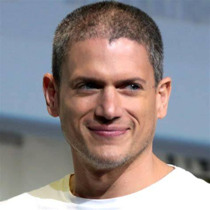 Wentworth Miller Net Worth: What the Star Has Earned