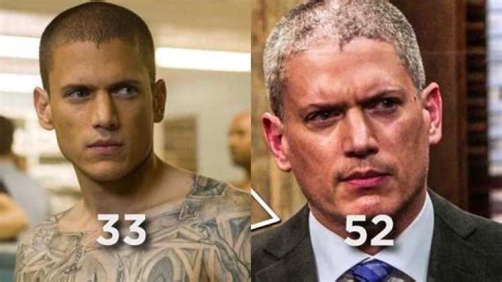 Wentworth Miller Significant Other: A Look Into His Private World