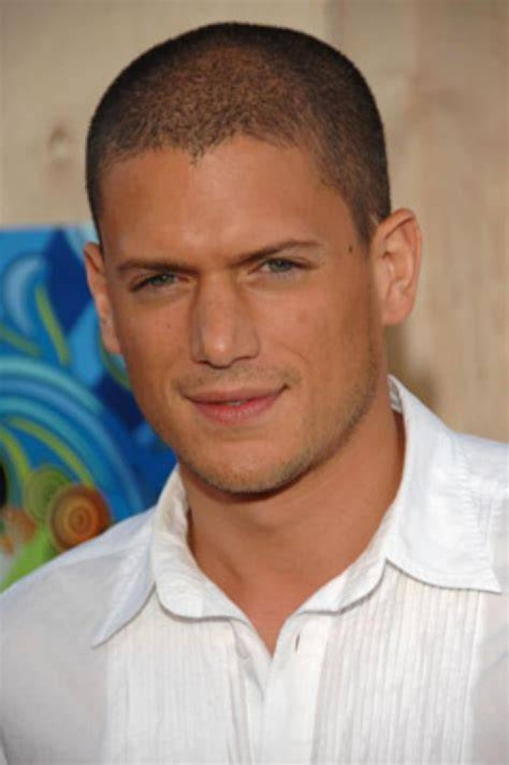 Wentworth Miller: The Actor's Journey Beyond the Screen