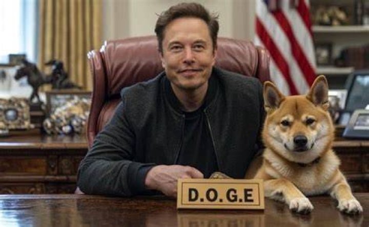 Were Elon Musk's Doge Super Bowl Commercials Real or Fake? The Truth Revealed