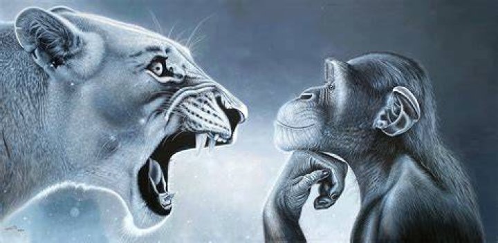 What's Behind That Lion Yelling at Monkey Picture? Surprising Wildlife Moments Explained