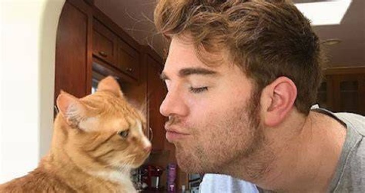 What Did Shane Dawson Do to His Cat? Unpacking a Complex Story