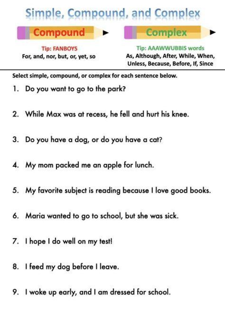 What Do You Call a Girl Bison? Exploring the Simple Answer and Complex Language