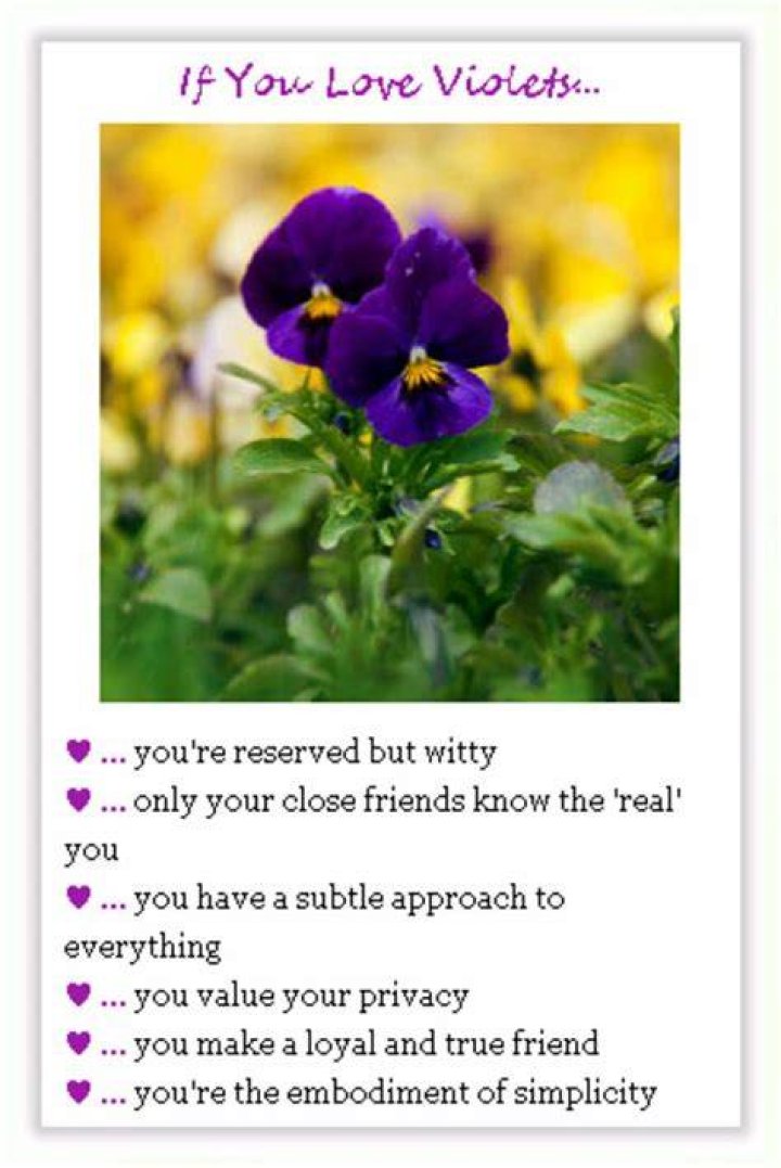 What Does a Violet Mean in Love? Unveiling a Timeless Message