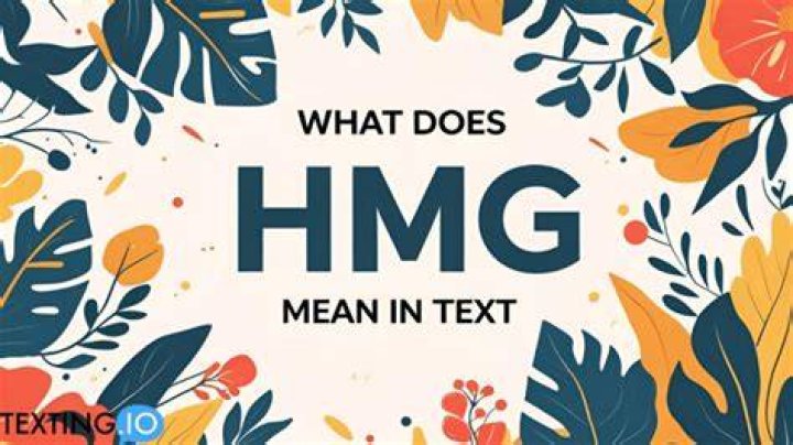 What Does HMG Mean? Unpacking a Multifaceted Acronym in Digital, Medical, and Formal Contexts