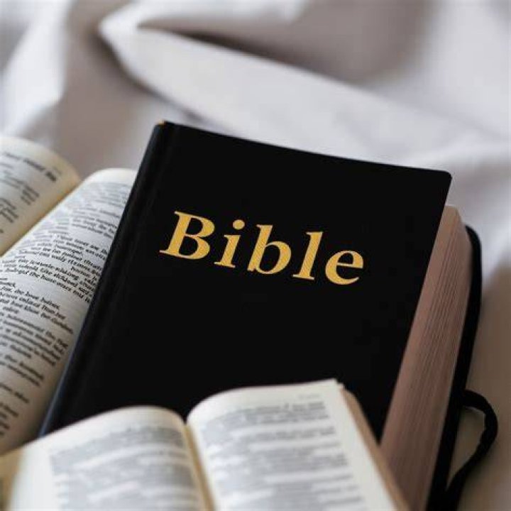 What Does the Bible Say About Politics? Finding Your Path in Civic Life