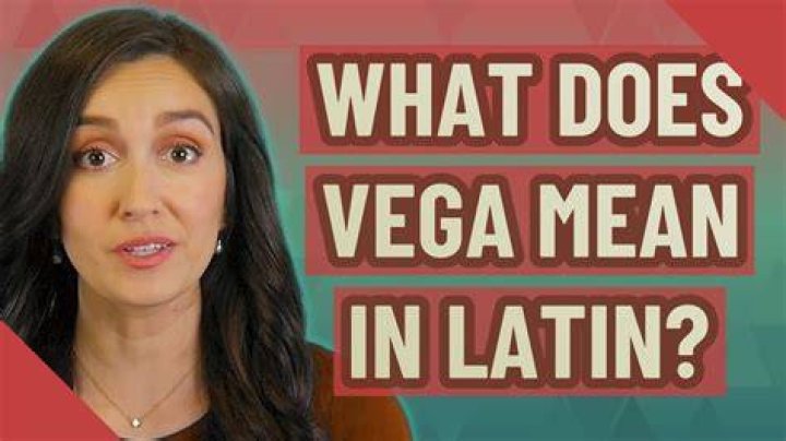 What Does Vega Mean in Mexico? Unraveling the Grammar Behind the Question