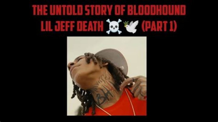 What Happened to Bloodhound Lil Jeff: Unraveling a Beloved Canine Mystery