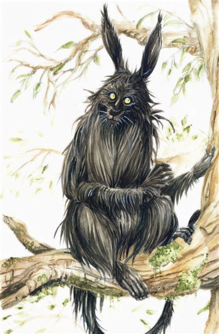 What is Pooka's Real Name? A Look at This Irish Folklore Creature