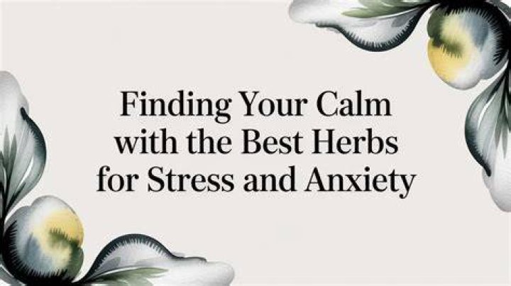 What is the Best Thing to Listen to for Anxiety? Finding Your Calm