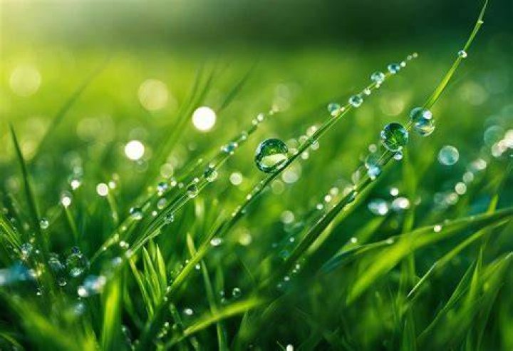 What is the Meaning of the Dew of God?