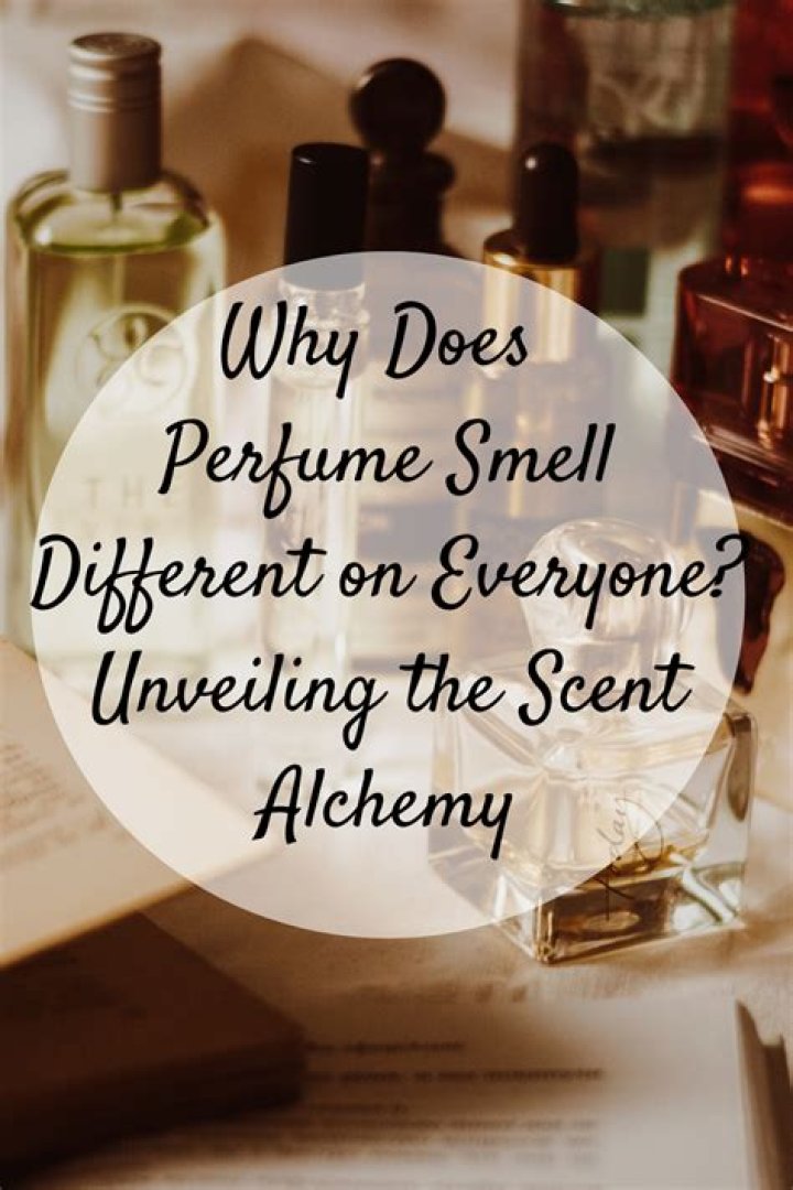 What Smell Does Everyone Love? Finding a Universal Favorite