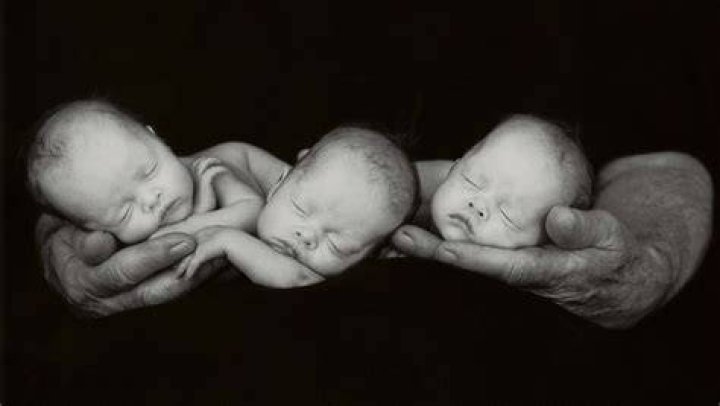 Where Did Anne Geddes Grow Up? Uncovering the Roots of a Beloved Photographer