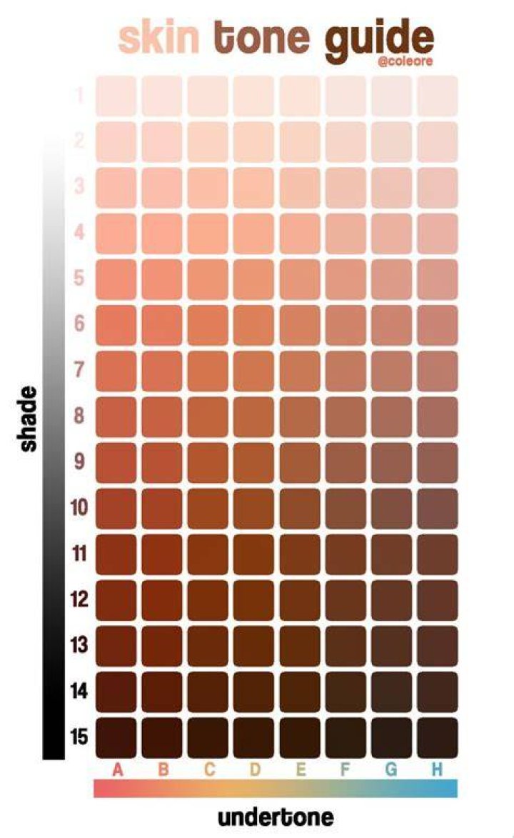 Which Shade Is For Which Skin Tone? Your Ultimate Guide to Color Harmony