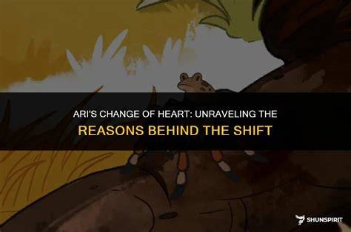 Who Did Ari Kiss? Unraveling the Heart of a Story