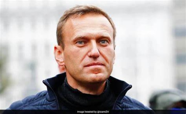 Who is Alexei Navalny and What Happened to Him? A Look at Russia's Opposition Figure