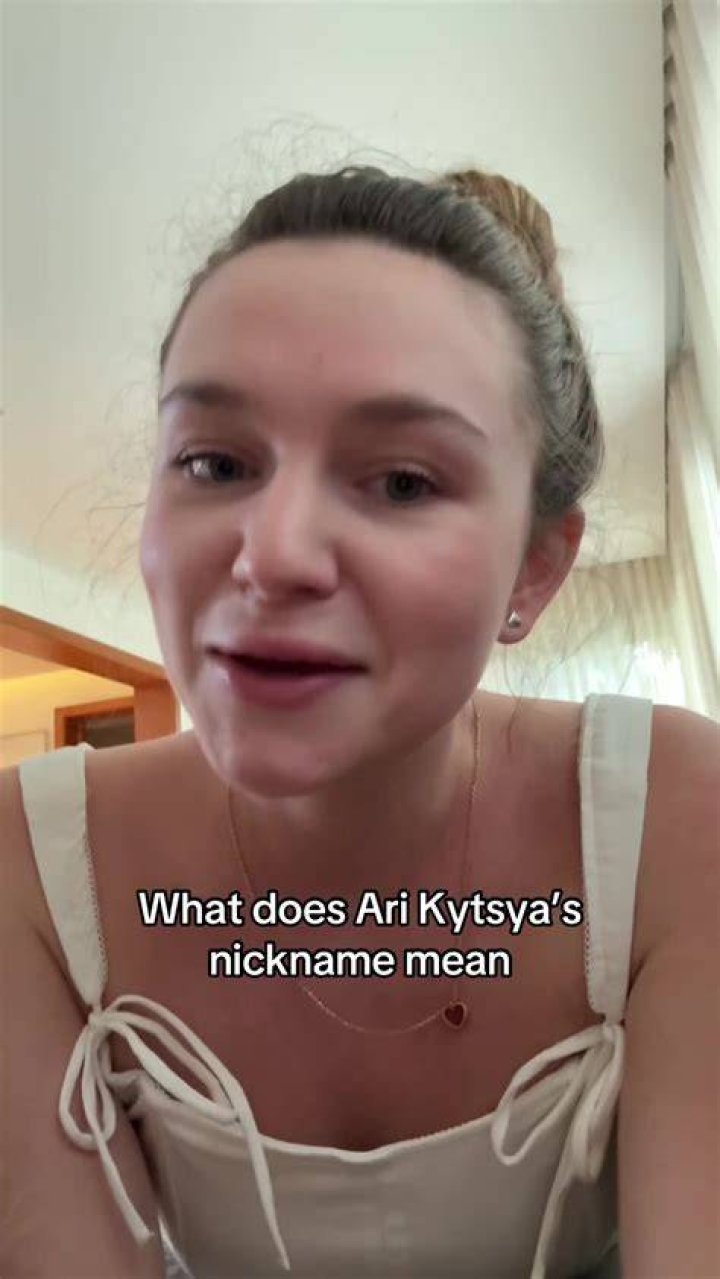 Who is Ari Kytsya? Unraveling the Many Identities of 'Ari' Based on Available Information