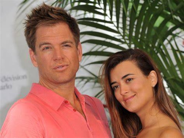 Who is Cote de Pablo Partner? Unpacking the Many Meanings of 'Cote'