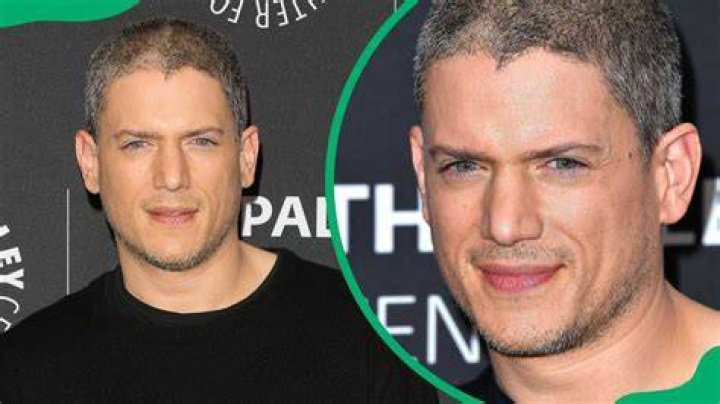Who Is Wentworth Miller Dating? Unpacking His Relationship Status in 2025