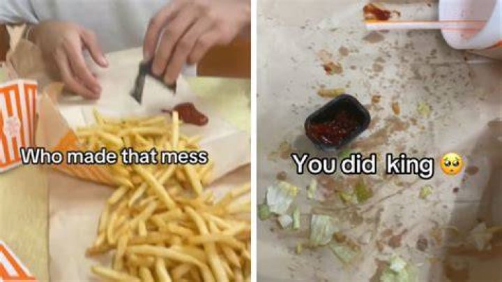 Who Made That Mess You Did King: Unpacking a Viral Internet Sensation